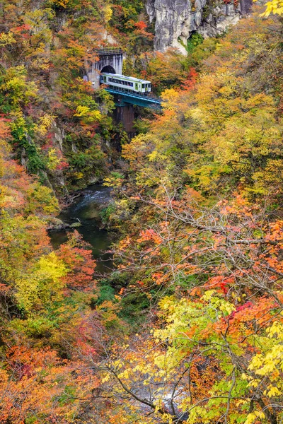 Naruko Gorge Valley Rail Tunnel Miyagi Tohoku Japan — Stock Photo, Image