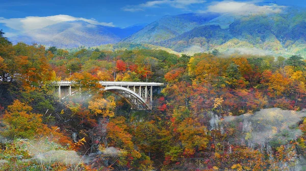 宮城県の鉄道トンネルのある鳴子渓谷 東北日本 — ストック写真
