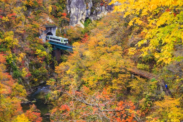 Miyagi Tohoku Japonya 'sında demiryolu tüneli olan Naruko Gorge Vadisi.