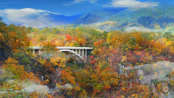 Vallée Des Gorges Naruko Avec Tunnel Ferroviaire Miyagi Tohoku Japon — Photo