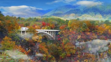 Miyagi Tohoku Japonya 'sında demiryolu tüneli olan Naruko Gorge Vadisi.