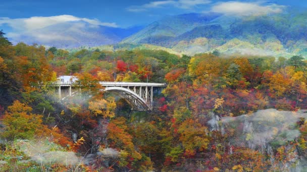 Naruko Gorge Dalen Med Järnvägstunnel Miyagi Tohoku Japan — Stockvideo