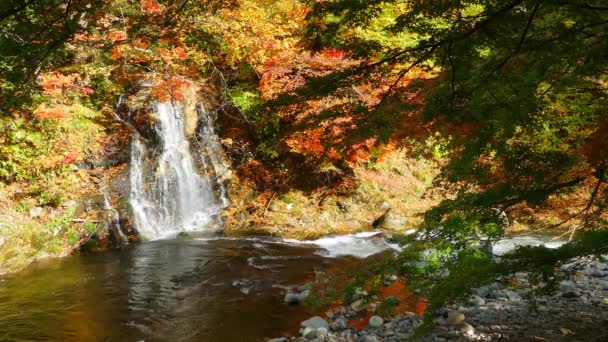 Vörös Híd Fudo Patak Nakano Hegyen Momiji Ősszel Kuroishi Városban — Stock videók