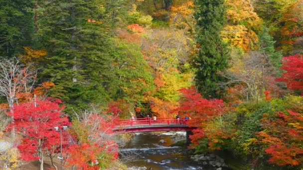 Czerwony Most Strumień Fudo Górze Nakano Momiji Jesienią Mieście Kuroishi — Wideo stockowe