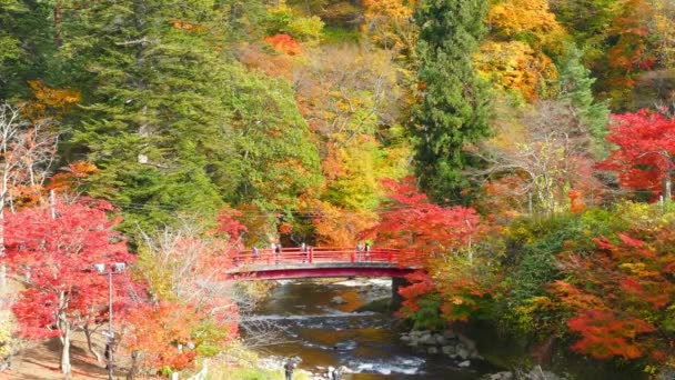 東北地方青森県黒石市の秋の紅葉中野山の赤い橋と不動の流れ — ストック動画