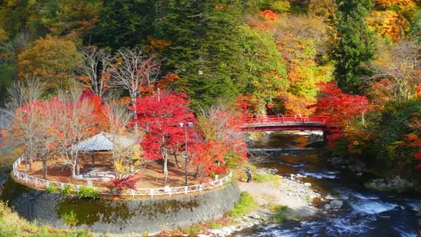 Красный Мост Ручей Фудо Горе Накано Момидзи Осенью Городе Куроиси — стоковое видео