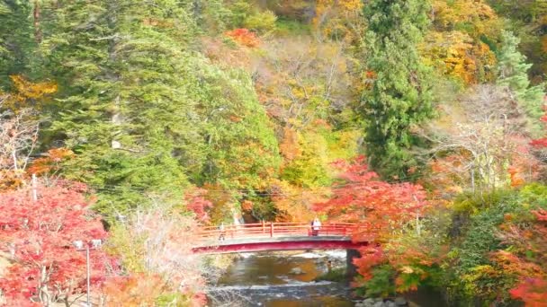 Rode Brug Fudo Beek Bij Mount Nakano Momiji Herfst Kuroishi — Stockvideo