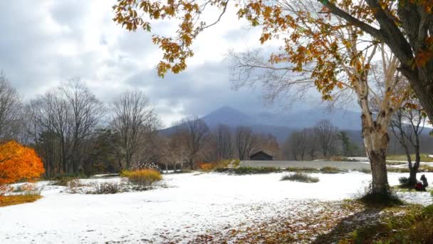 Floresta Congelada Coberta Por Neve Monstros Neve Cordilheira Hakkoda Aomori — Vídeo de Stock