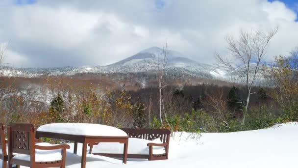 Zmrazený Les Pokrytý Sněhem Sněhové Příšery Pohoří Hakkoda Aomori Japonsko — Stock video
