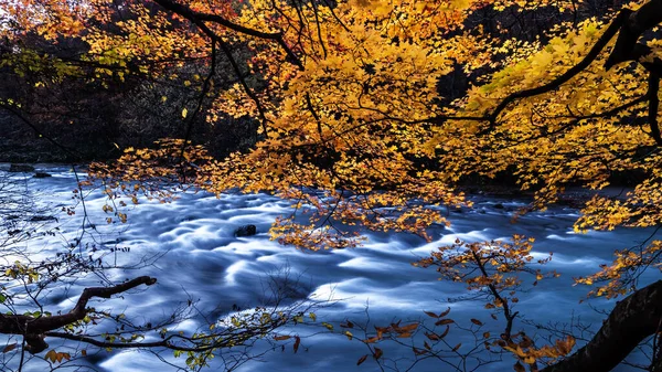 Oirase Stream Picturesque Mountain Stream Aomori Prefecture One Japan Most — Stock Photo, Image
