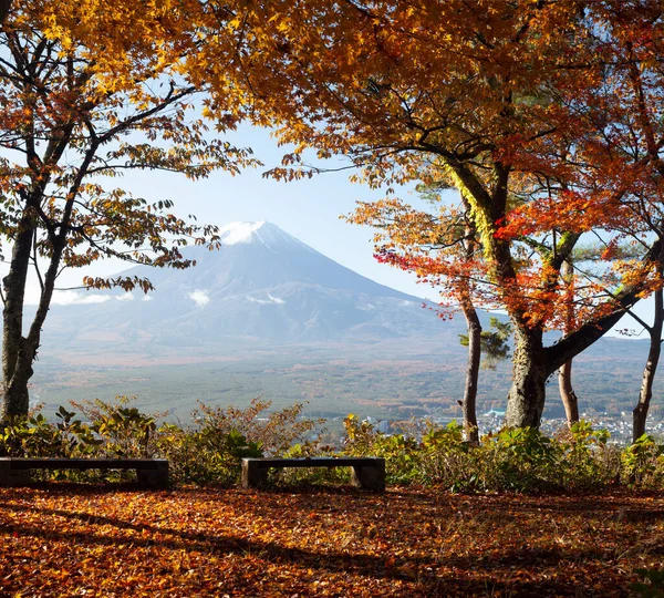 Saison Automne Colorée Fuji Montagne Avec Brouillard Matinal Feuilles Rouges — Photo