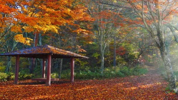 Kleurrijke Herfst Seizoen Berg Fuji Met Ochtendmist Rode Bladeren — Stockvideo