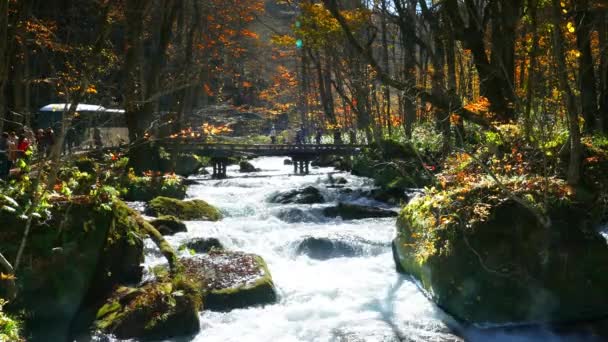 Torrente Oirase Oirase Keiry Pittoresco Torrente Montagna Nella Prefettura Aomori — Video Stock