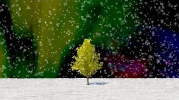 Albero Rendering Foglia Piena Inverno Contro Cielo — Foto Stock