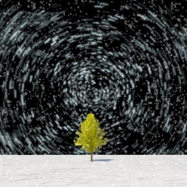 Albero Rendering Foglia Piena Inverno Contro Cielo — Foto Stock