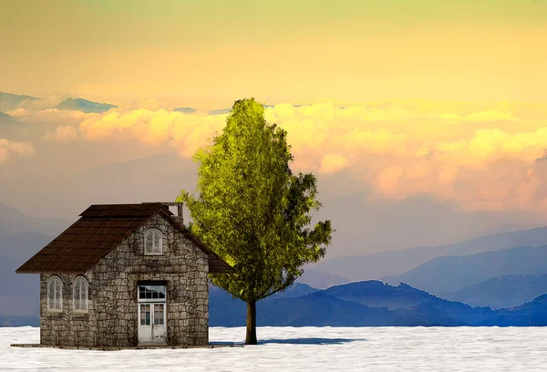 Árvore Prestação Casa Folha Cheia Inverno Contra Céu — Fotografia de Stock