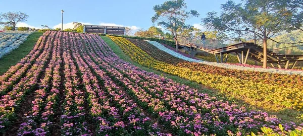 Parque Urbano San Tseng Chi Dia Ensolarado Brilhante Com Campos — Fotografia de Stock