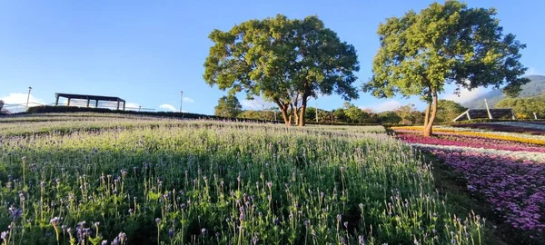 San Tseng Chi Urban Park Μια Φωτεινή Ηλιόλουστη Μέρα Πολύχρωμα — Φωτογραφία Αρχείου