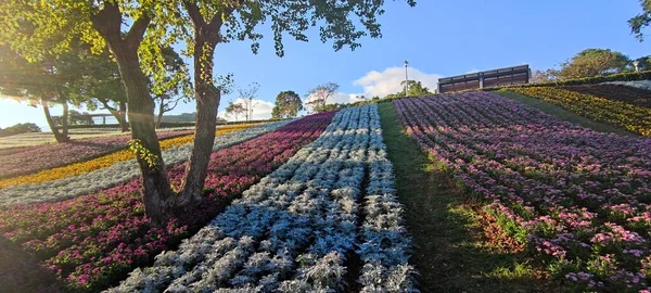 San Tseng Chi Urban Park Μια Φωτεινή Ηλιόλουστη Μέρα Πολύχρωμα — Φωτογραφία Αρχείου