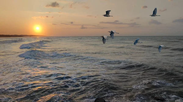 Coucher Soleil Sur Mer Paysage Marin Surface Eau Mer Éclairée — Photo