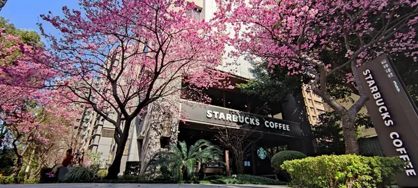 Linkou Tchaj Wan Ledna 2022 Starbucks Linko New Taipei City — Stock fotografie