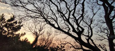 The Sunset in Taipingling Trail in New Taipei City, Tayvan