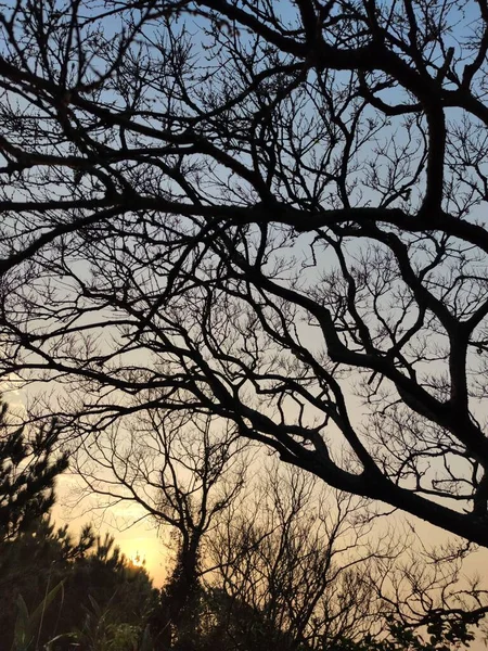 新北市太平嶺歩道の夕日 — ストック写真