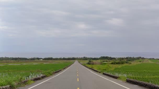 Luftaufnahme Von Schönen Terrassierten Reisfeld Und Straße Taitung Taiwan — Stockvideo