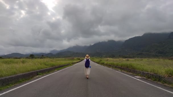 Flygfoto Över Vackra Terrasserade Risfält Och Väg Taitung Taiwan — Stockvideo