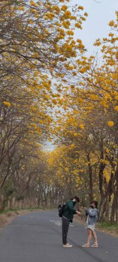 Chiayi, Tayvan - 15 Aralık 2022: Sarı Rüzgar Tamaki Tüneli, Chiayi, Tayvan