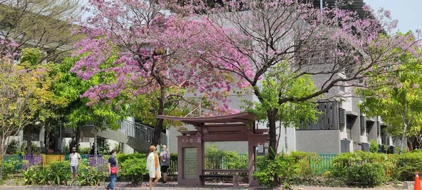 台南大港小学校2022年3月16日 台南市のレッドウィンドツリー木材で最も美しいバス停 — ストック写真
