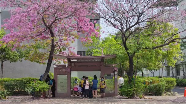 Daguang Elementary School Tainan Mar 2022 Det Smukkeste Busstoppested Med – Stock-video