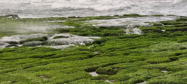 ラオメイ グリーン ストーン トロウは北海岸の石門地区に位置し 毎年4月から5月にかけて北東モンスーンがゆっくりと弱まるため 地元の岩の谷の学名 Thatideトレンチと海食溝は大きな三角形で覆われています — ストック写真