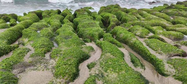 Laomei Green Stone Trough Encuentra Distrito Shimen Costa Norte Cada —  Fotos de Stock