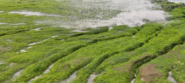 Laomei Green Stone Trough Trova Nel Distretto Shimen Sulla Costa — Foto Stock