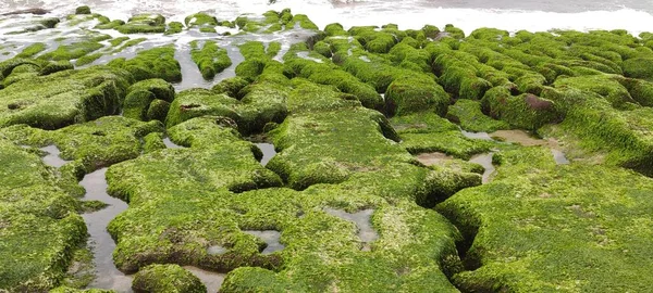 Den Laomei Green Stone Trough Ligger Shimen District Nordkysten Hver - Stock-foto