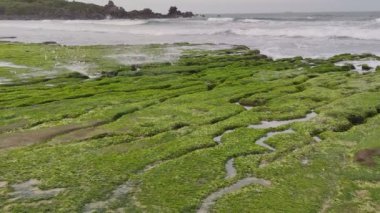 Laomei Yeşil Taş Çukuru, Kuzey Sahili 'nin Shimen Bölgesi' nde her Nisan ve Mayıs ayında bulunur.