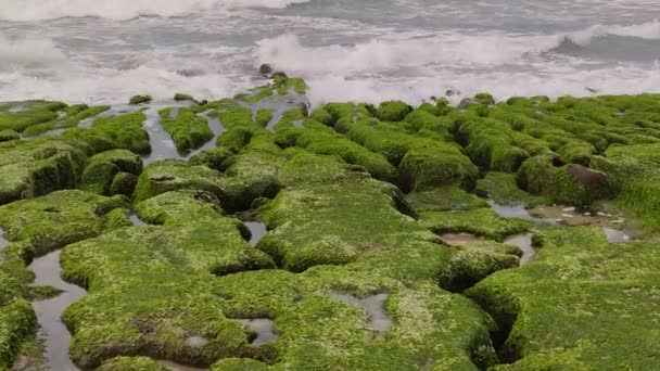 Laomei Green Stone Trough Trova Nel Distretto Shimen Sulla Costa — Video Stock