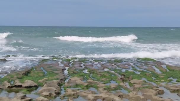 老梅绿石槽 坐落在北海岸的石门区 每年的四月和五月 — 图库视频影像