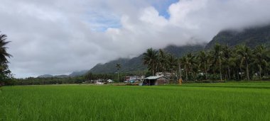 Duli Sahili (gökyüzü ülkesi), Taitung, Tayvan 'ın güzel sahil şeridinin tadını çıkarır.