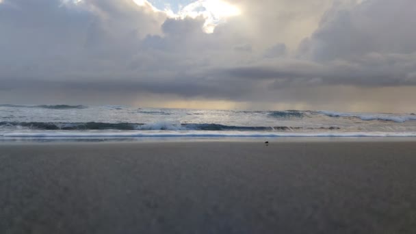 Duli Beach Ziemia Nieba Taitung Cieszy Się Piękną Linią Brzegową — Wideo stockowe