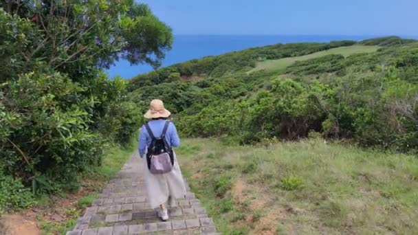 Het Xuhai Prairie Landschappelijke Prairie Trail Pingtung County Taiwan — Stockvideo