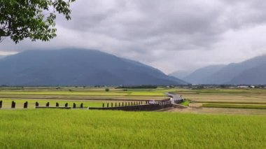 Güneşin doğduğu Brown Bulvarı, Chishang, Taitung, Tayvan 'daki güzel çeltik tarlası manzarası