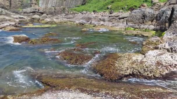 Strange Rocks Rocks Stretching Hundreds Meters Can Said Bamboo Shoot — Stockvideo