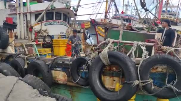Port Pêche Daxi Comté Yilan Juillet 2022 Pêcheurs Vivants Qui — Video