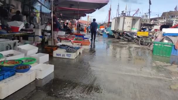 Daxi Fishing Port Yilan County Jul 2022 Pescadores Vivos Que — Vídeo de Stock