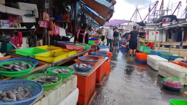 Port Pêche Daxi Comté Yilan Juillet 2022 Pêcheurs Vivants Qui — Video
