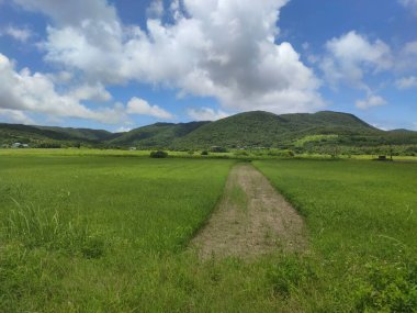 Peony Township, Pingtung County - 9 Temmuz 2022: Kenting, Xuhai Tayvan 'ın güneyinde güzel manzara, Xuhai, Kending, Pingtung County