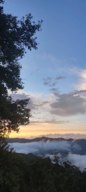 En Güzel Orman Otoyolu, Beiyi Otoyolu, Tayvan