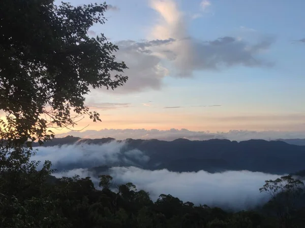 Die Schönste Waldstraße Beiyi Highway Taiwan — Stockfoto